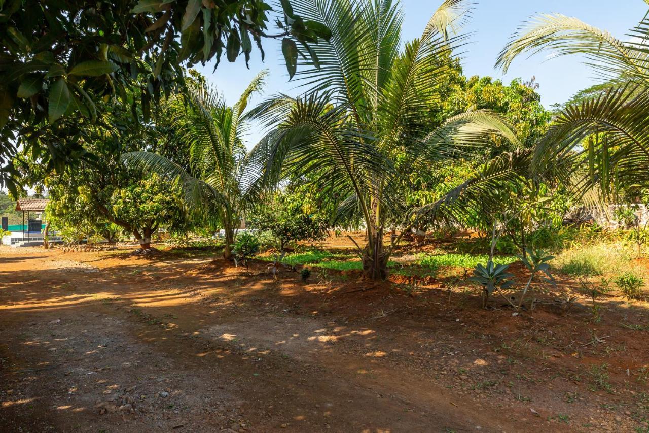 Saffronstays Apricus Farm, 卡尔贾特 外观 照片
