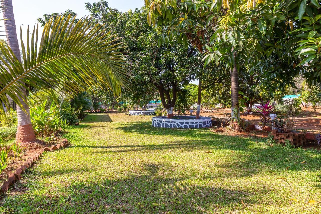 Saffronstays Apricus Farm, 卡尔贾特 外观 照片